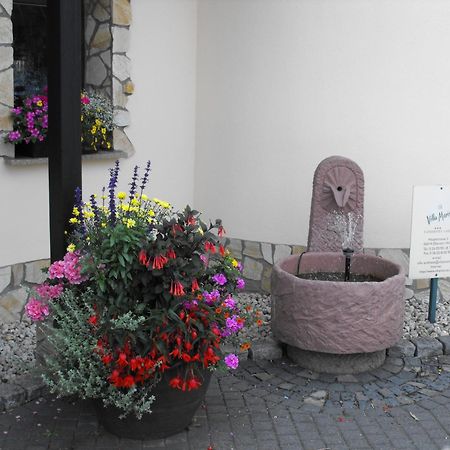 Landhotel Villa Moritz Garni Oberahr Extérieur photo